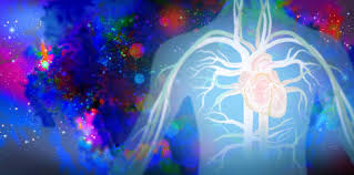 Which Hospital is Best for Heart Surgery in Bangalore?