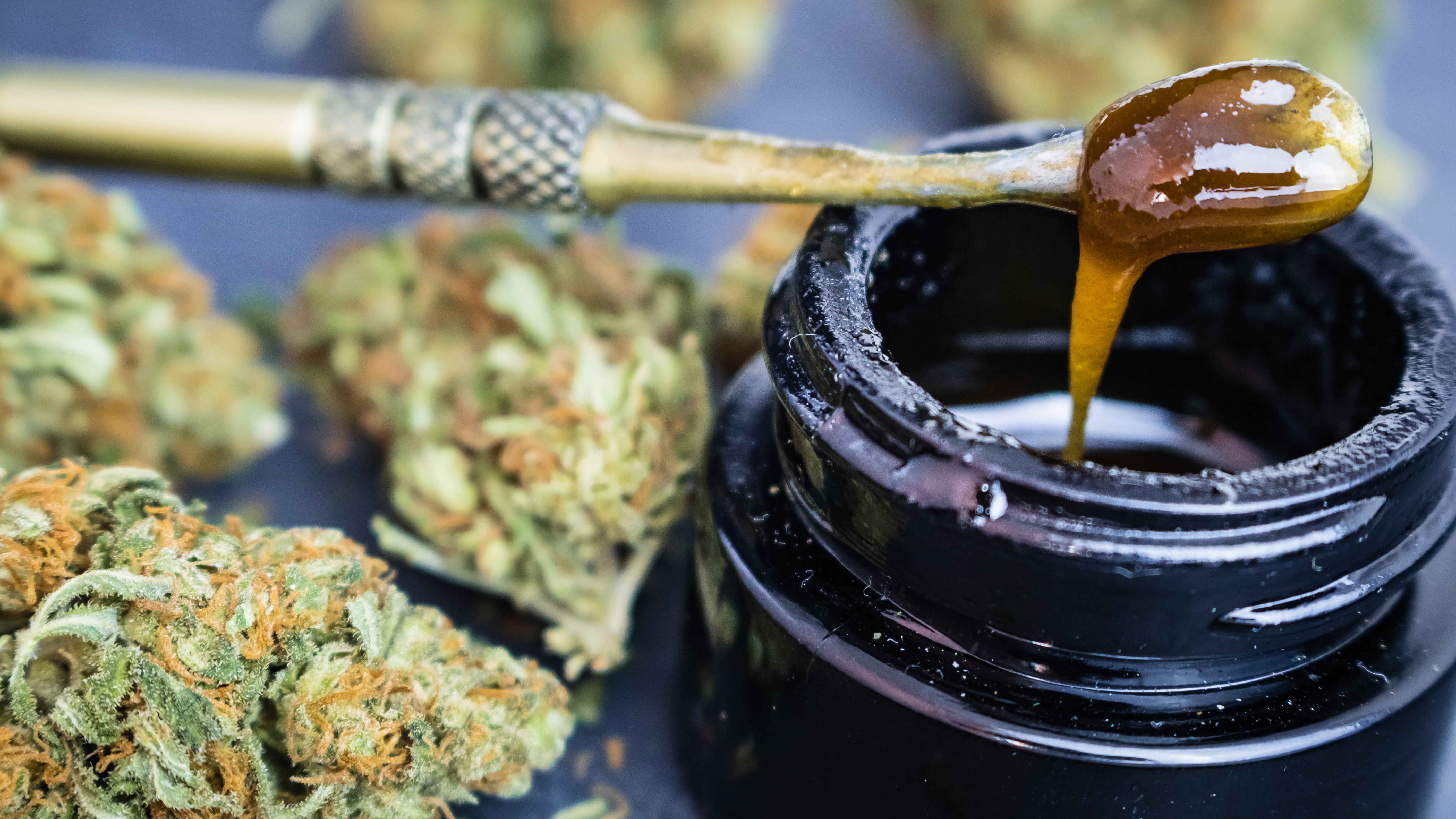 5 Things To Know About Dabbing Concentrates